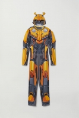  Fancy dress costume £16.00