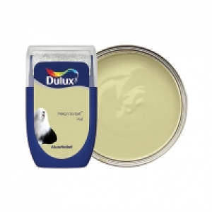 Dulux - Melon Sorbet - Emulsion Paint Tester Pot 30ml £1.60