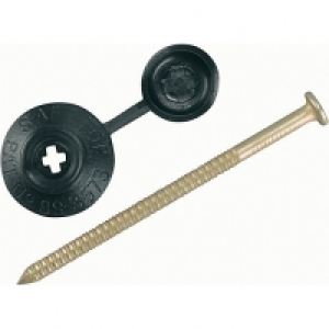 Onduline Profile Sheeting Nails 70mm Black PK20 £6.00