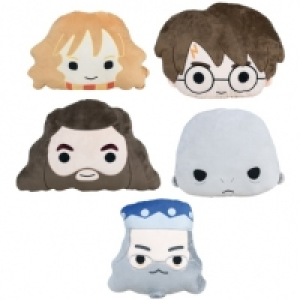 Harry Potter Cushion £8.00