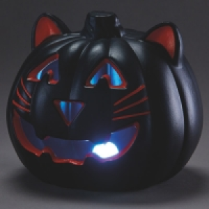 Orange Cat Light Up Pumpkin