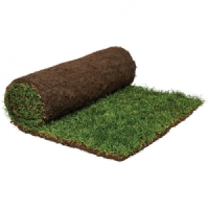 Rolawn Medallion Grass Turf Roll - 1m2 £7.00