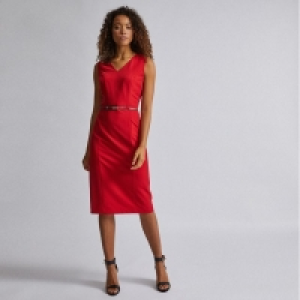 Tall Red Snake Print Belt Shift Dress