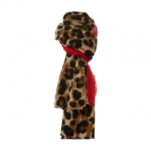 Multicoloured Lyndsay Stripe Border Brushed Scarf