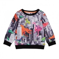 Debenhams  Boys Multicoloured Dinosaur Print Sweater