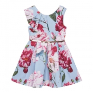 Girls Mid Blue Floral Frill Dress