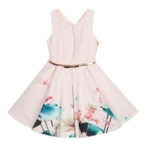 Girls Pale Pink Flamingo Print Dress