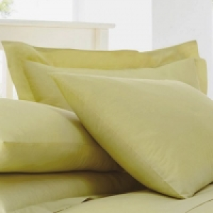 Yellow Cotton Rich Percale Standard Pillow Case Pair
