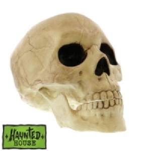 HomeBargains  Haunted House Moving Jaw Skull