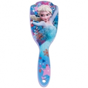 Frozen Hair Brush