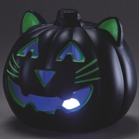 Aldi  Green Cat Light Up Pumpkin