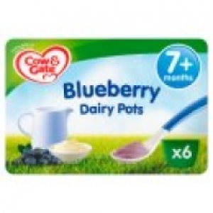 Blueberry Dairy Pots from 12+ Months £1.25