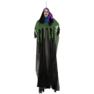 Animated Light Up Fortune Teller - Green
