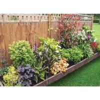 Wickes  Garden on a Roll Mixed Shady Border - 900mm x 7m