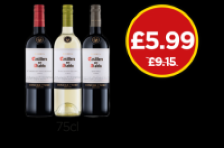 Budgens  Casillero Del Diablo Cabernet Sauvignon, Sauvignon Blanc, Ma