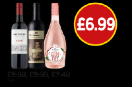 Trivento Argentina Malbec, 19 Crimes Red, Blossom Hill Gin F