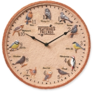 Aldi  Feathered Friends Outdoor Wall Clock