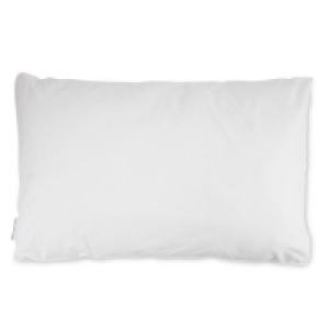 Back Sleeper Pillow £6.99