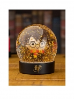 LittleWoods  Harry Potter Harry Snow Globe BDP