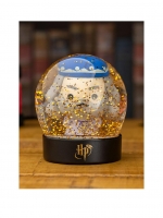 LittleWoods  Harry Potter Dumbledore Snow Globe BDP