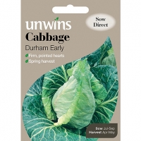 Wickes  Unwins Pointed Durham Early Cabbage Seeds