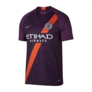 DW Sports  Nike Man City Mens Jersey