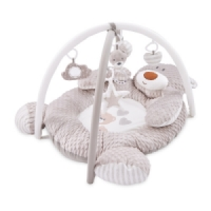 Aldi  Baby Play Gym