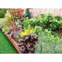 Wickes  Garden on a Roll Mixed Sunny Border - 900mm x 8m