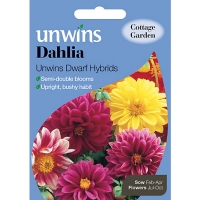 Wickes  Unwins Dwarf Hybrids Dahlia Seeds