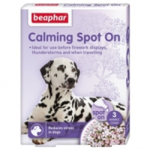 Calming Spot on for Dogs