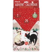 Aldi  Vitacat Cat Advent Calendar