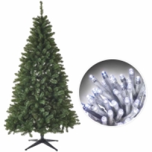 Wilko 7ft Christmas Tree and 600 White Lights Bundle £60.00