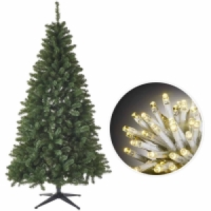 Wilko 7ft Christmas Tree and 600 Warm White Lights Bundle £60.00