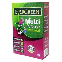 QDStores  420g Evergreen Multipurpose Grass Seed With Ryegrass 14 Sqm 