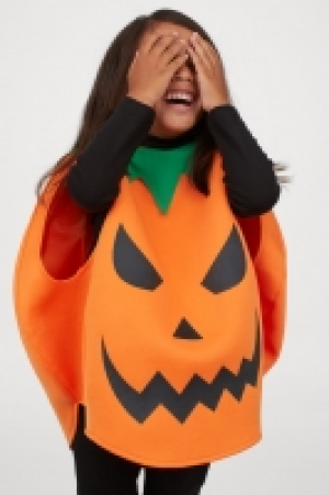  Fancy dress costume £5.00