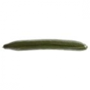 Cucumber £0.65