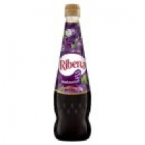 Blackcurrant Squash £1.50