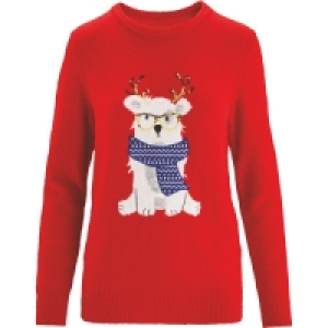 Aldi  Ladies Bear Christmas Jumper