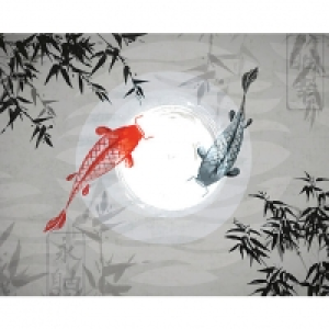 Wickes  ohpopsi Japanese Koi Carps Wall Mural - XL 3.5m (W) x 2.8m (