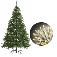 Wilko  Wilko 7ft Christmas Tree and 600 Warm White Lights Bundle