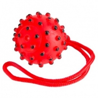 Poundland  Ball On A Rope Dog Toy 40cm