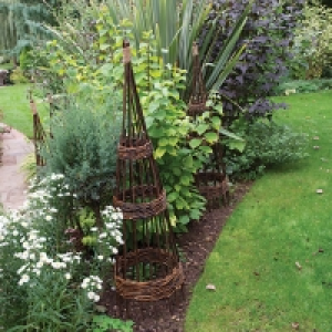 Concentric Willow Obelisk 1.5m - Pack of 2 &pound;32.50