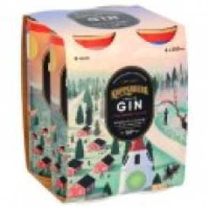 Premium Gin Strawberry & Lime £5.00