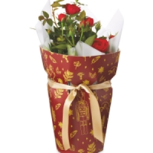 Aldi  Rose Cracker Gift