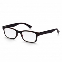 Poundland  Black Plastic Reading Glasses +2.50
