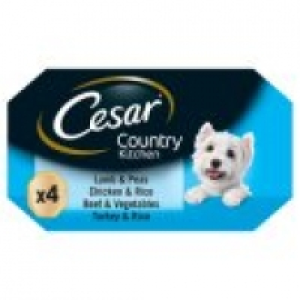 Cesar Meaty Selection in Jelly Senior Dog Food Trays