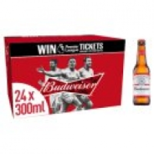 Lager Beer Bottles £14.00