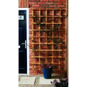 Wickes  Wickes Fence Top Trellis Square Lattice Autumn Gold - 1.83m 