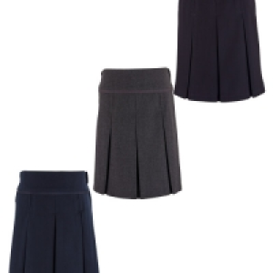 Lily & Dan Pleated Skirt