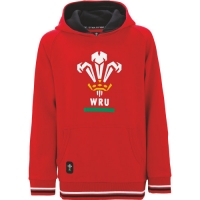 Aldi  Childrens Wales Rugby Hoody